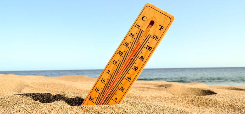 Coordination des soins pendant la canicule de juin 2026 auprès d’une personne âgée